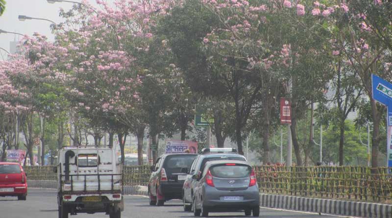 Pleasant weather ushers in early spring in Kolkata