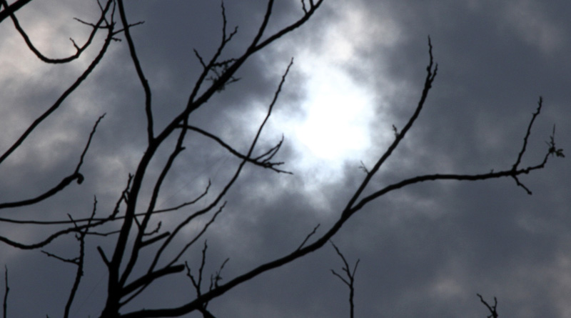 IMD To contract with BSNL For Sending Weather updates
