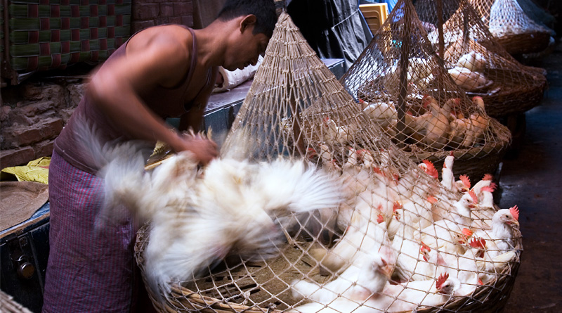 Carcass scare: Govt orders Video recording in meat shops