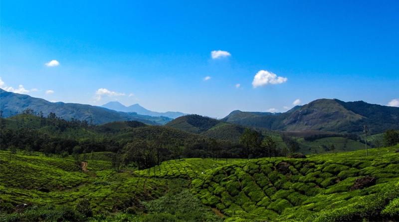 Fade up of monotonous life! Visit Munnar, embrace nature