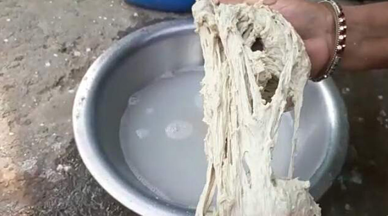 ‘Rubber flour’ from PDS creates chaos in Kalimpong villages