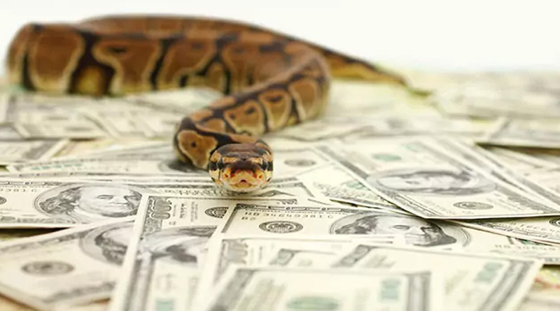 Millions Stolen in Nigeria, accused a snake and gang of monkeys