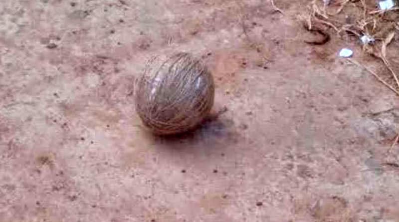 Bomb recovered from Bogtui, West Bengal | Sangbad Pratidin