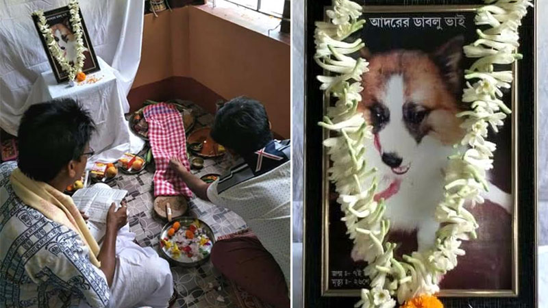 Respect for dog's death at Uluberia