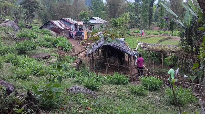 Man dies after consuming poisonous mushroom in Dooars