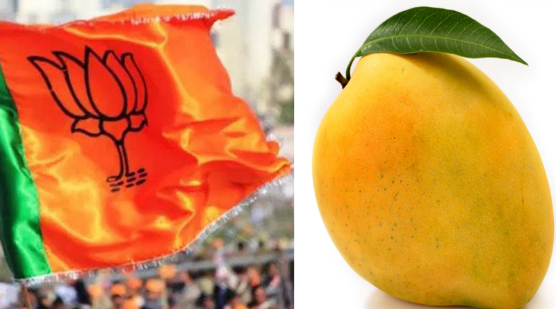 WB panchayat polls: BJP backs independent in Birbhum to thwart TMC