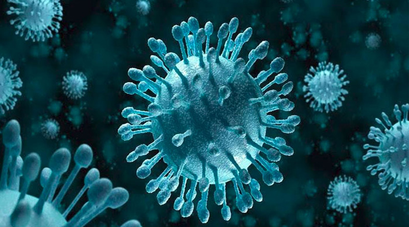 Killer Nipah virus claims two in Kerala, toll touches 15