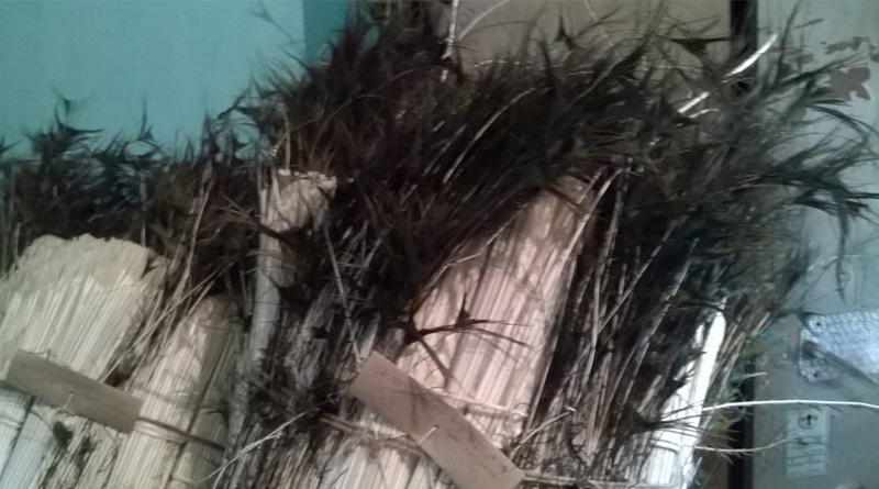 50 kilogram peacock’s feather detained