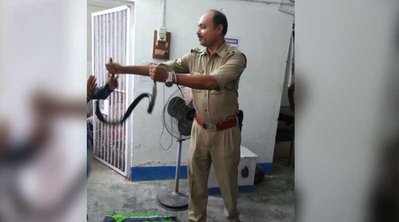 Cops flee as snake invades police station in Dhupguri