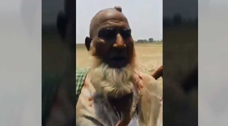 UP: Video depicts cow vigilante attack
