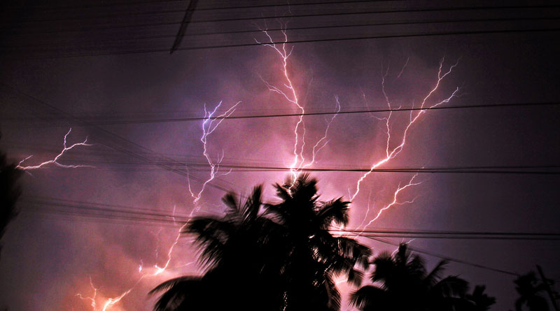 6 died in lightening in Bengal | Sangbad Pratidin
