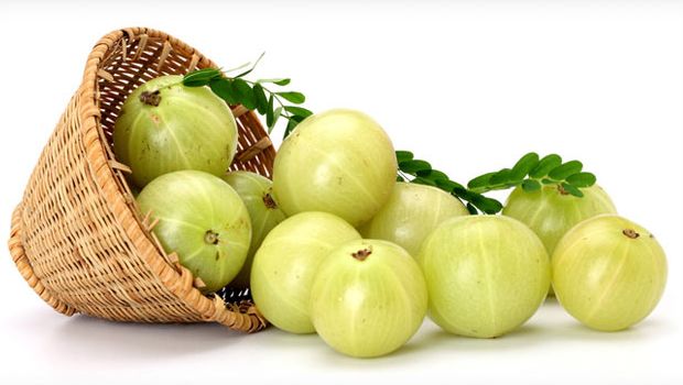 amla 3