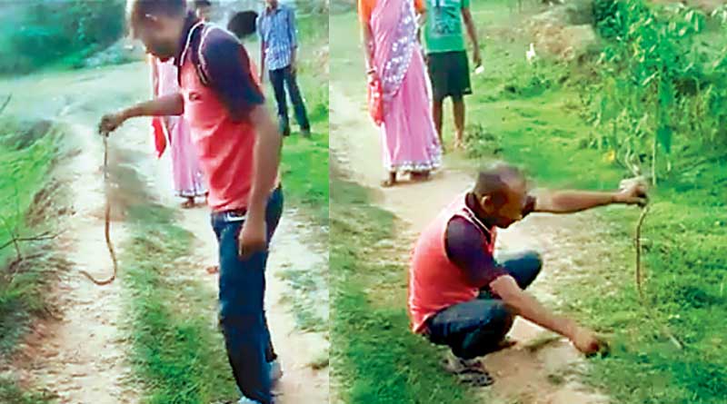 Cobra bites snake charmer in Purulia