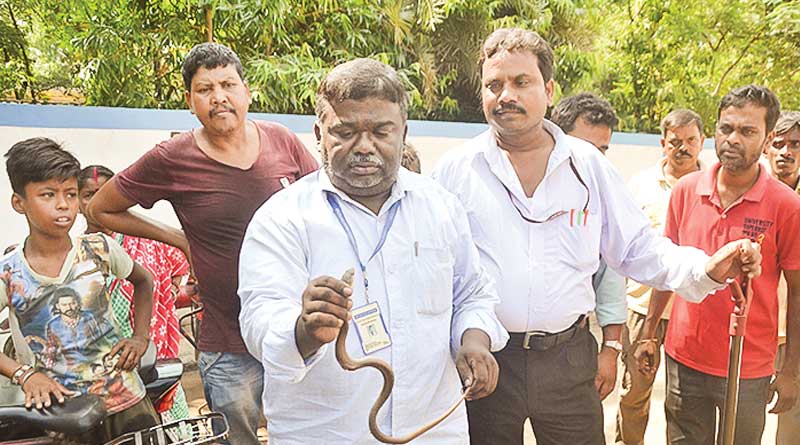 Suri: Snake bites man, he takes it to hospital