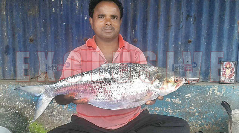 Uluberia: Fishermen catch huge Hilsa from river Ganga