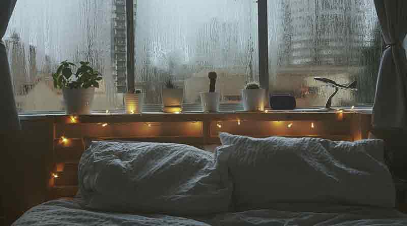Tips to keep musty smell away this monsoon