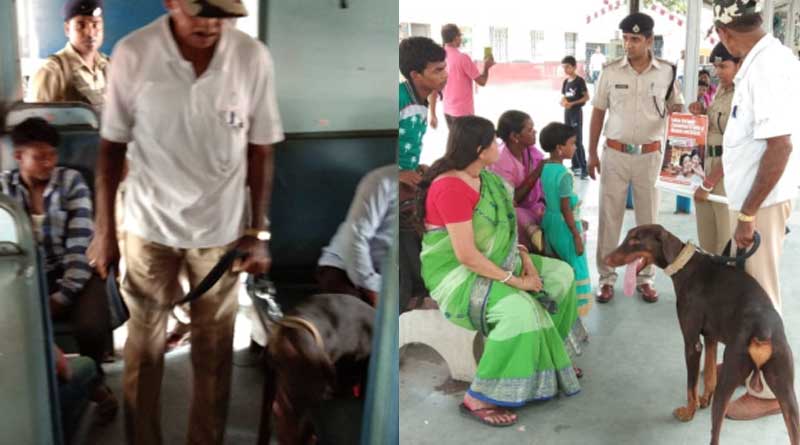 Rail hike the salary of snifer Dogs in Adra division