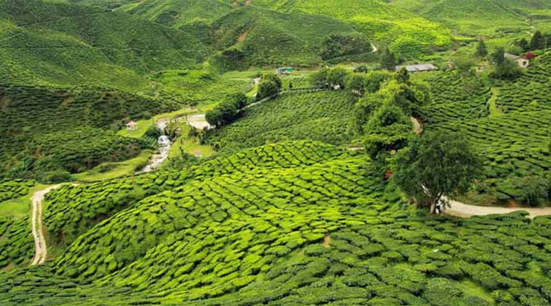 No effect in Assam tourism for NOC