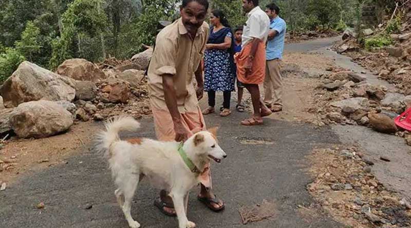 Kerala dog goes viral after saving owners life