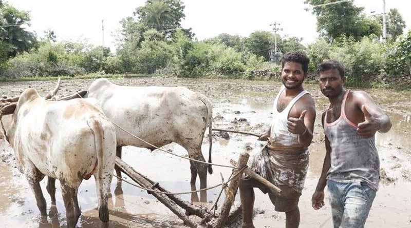 2 farmer won Kiki Challenge