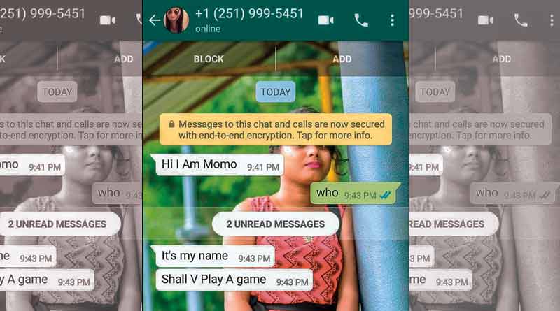 After Blue Whale game, Momo Challenge sparks fear in West Bengal