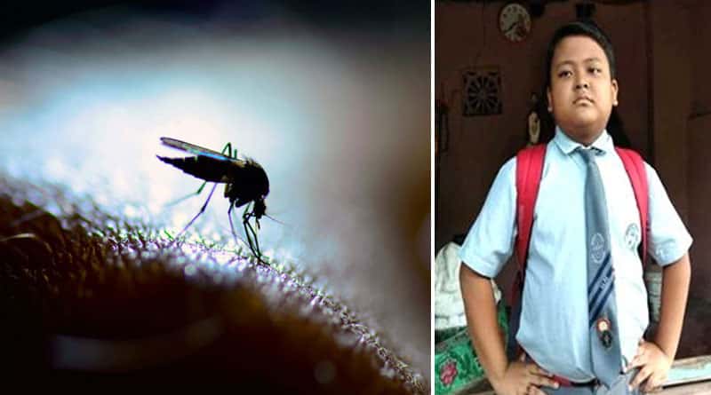 class-4-student-death-due-to-dengue-at-bidhanagar