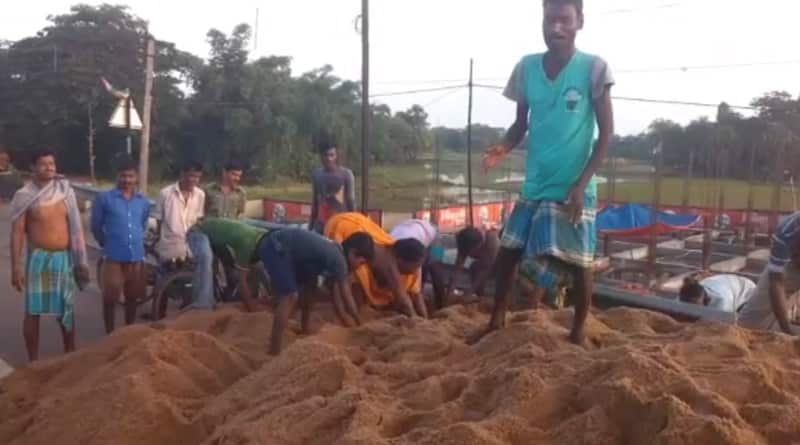 West Midnapur: People dig holes in ground to capture fish in Ghatal