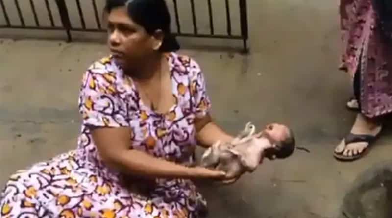 Infant found dumped in a drain in Chennai