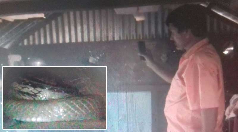 Snake panic in Malbazar