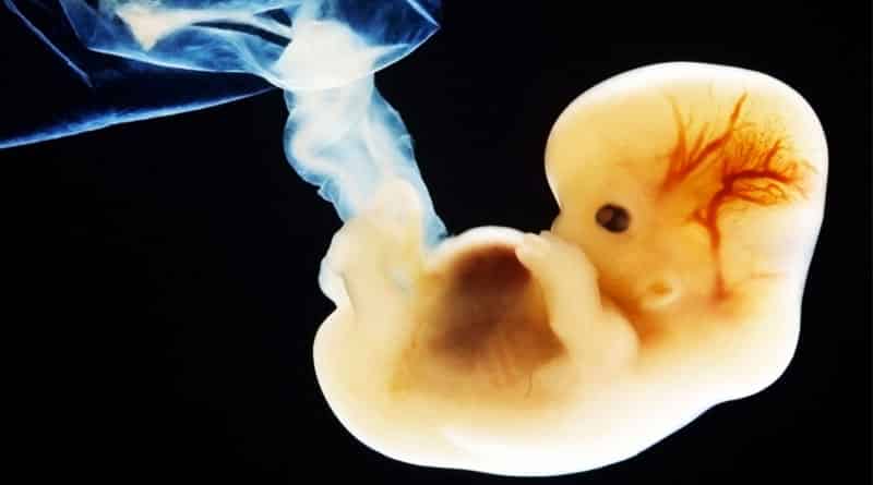 WB doctors invent new way to prevent killing of foetus | Sangbad Pratidin
