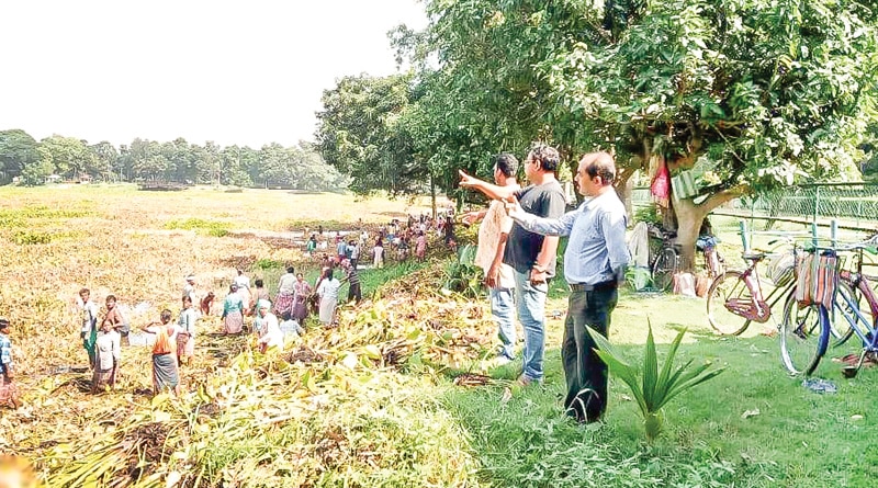 Pesticide kills fish in Burdwan University lake