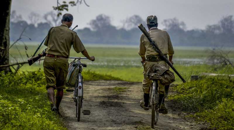 State forest department plans to buy arms to combat poachers