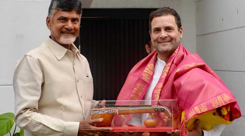 We Are Coming Together, Says Rahul Gandhi After Meeting Chandrababu Naidu