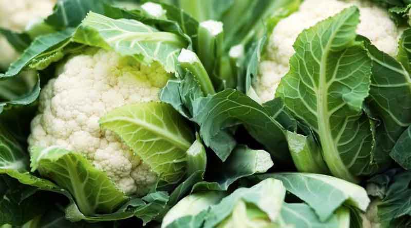 Vegetable price dropped