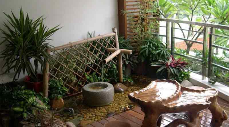 Ideas for home gardening