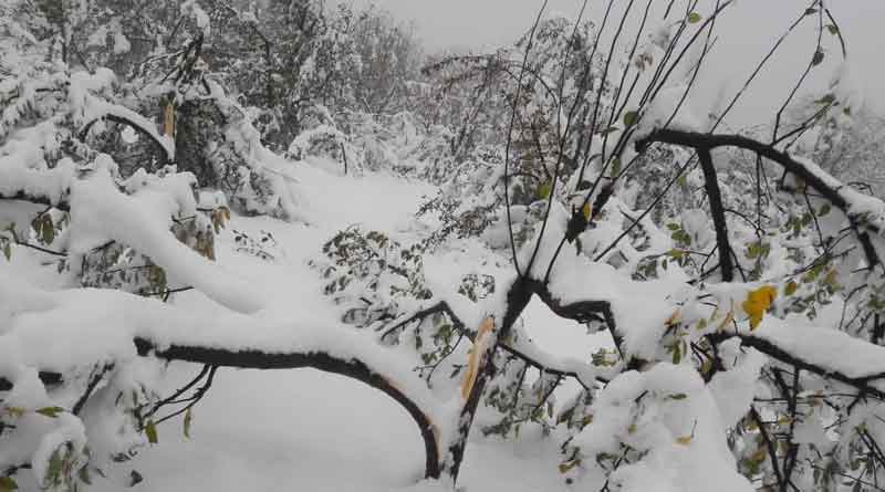 Power cut in Kashmir after heavy snow falls