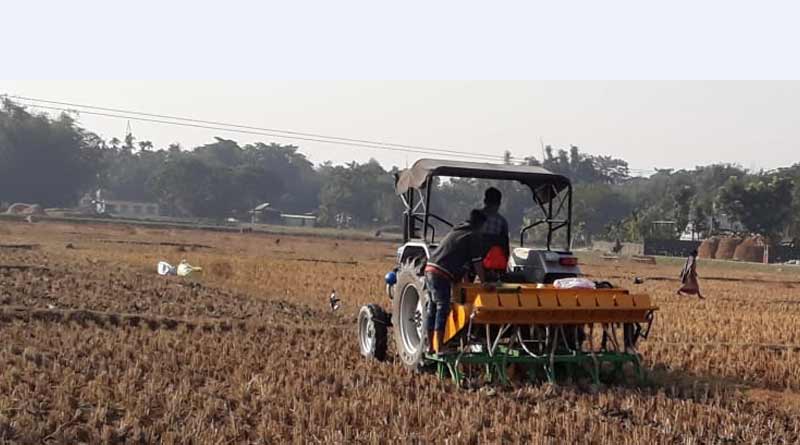 This way of farming popular in Alipurduar