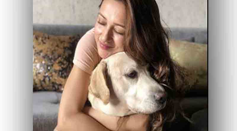 Controversy over actress's post in NRS