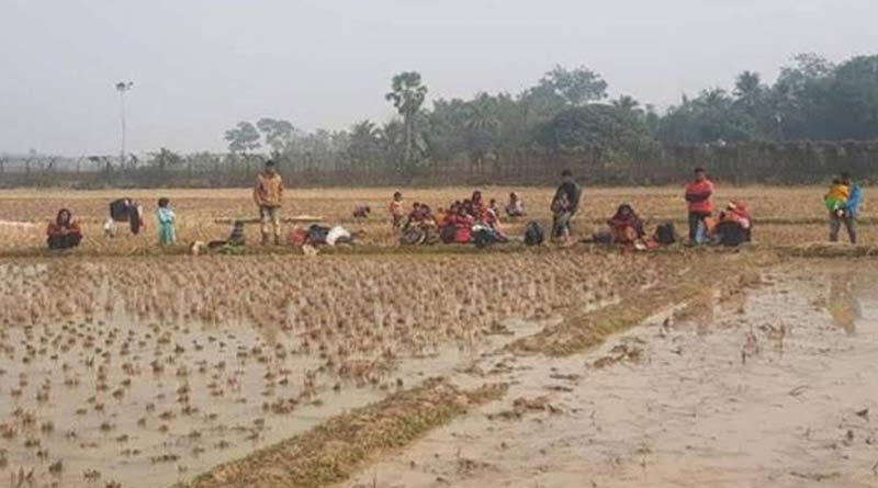  BSF brought back 31 Rohingyas to India