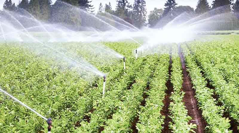 Sprinkler for Asansol's farmers 