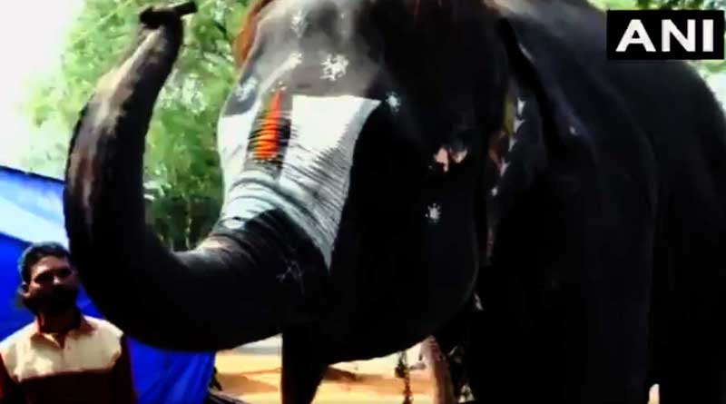 Jumbo who plays mouth organ