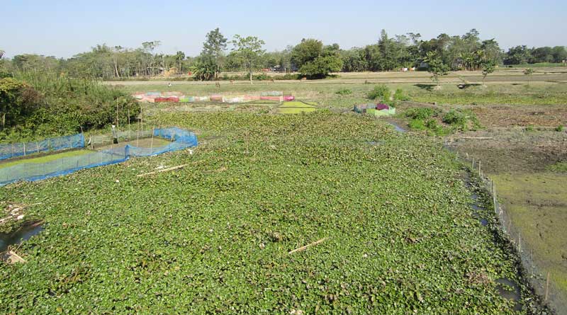 Farming in river bed during Winter