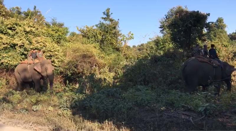 Bengal Safari Park partially open