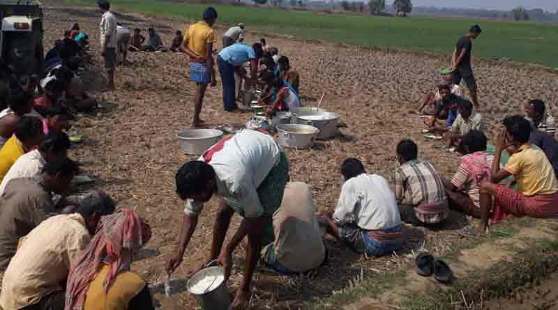 FARMING