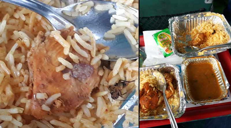 Cockroach in meal on Satabdi Express