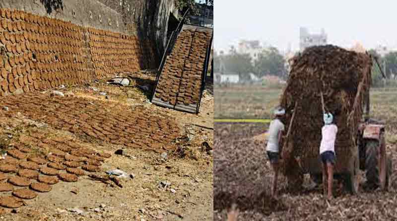 Cowdung of worth Rs.1lakh has been stolen
