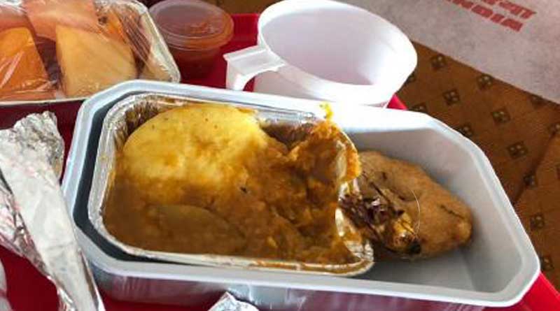 Cockroach found in food of AI flight