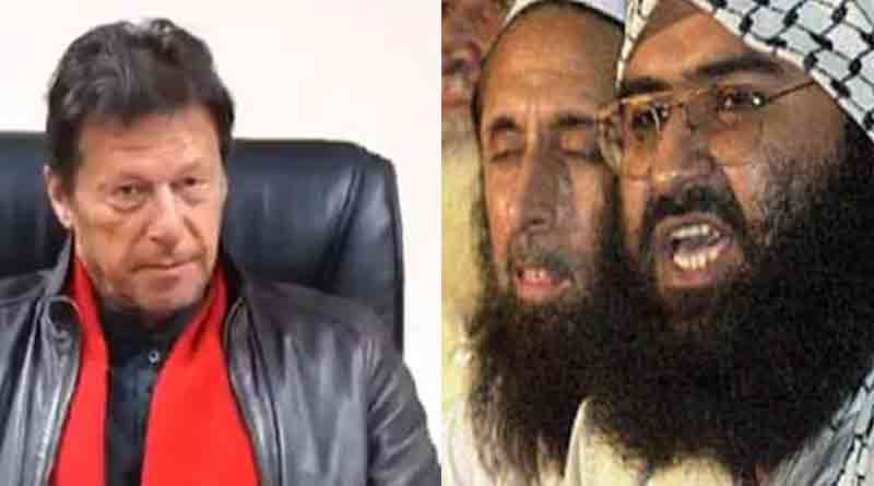 Jaish leader Masood Azhar confirms IAF strike