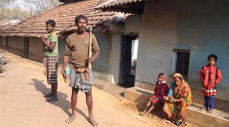 Many people injured as wolf enters villege