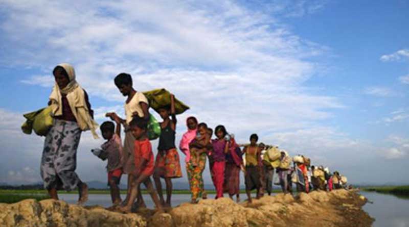 UN helps rohingya child